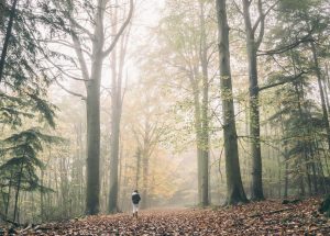 24h pour s'inspirer de la nature pour repenser mon entreprise @ Forêt de Paimpont - Gite sur Lizio